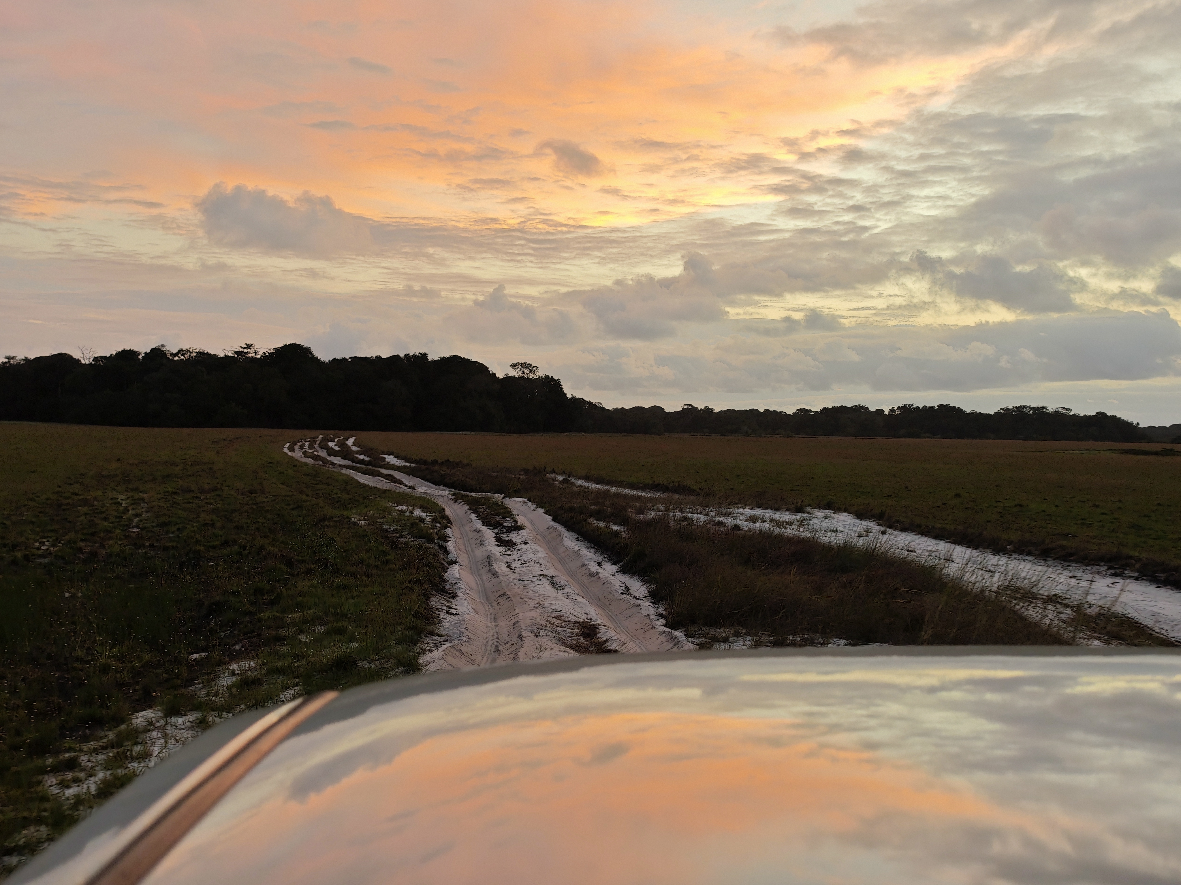 Road through Gabon savanna