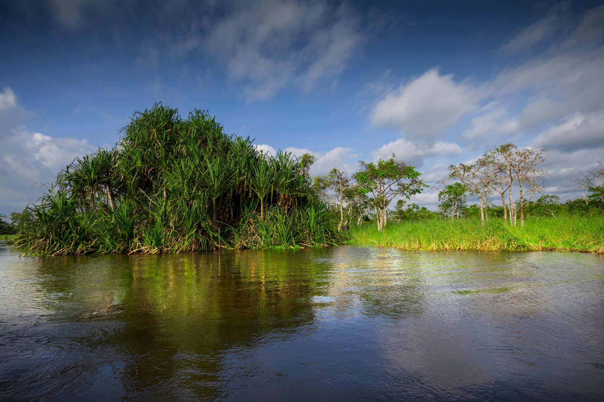 Akaka River